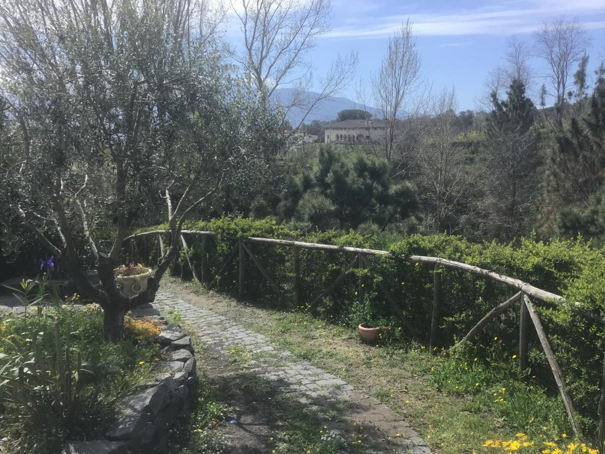 Tenuta Terradifuoco Hotel Terzigno